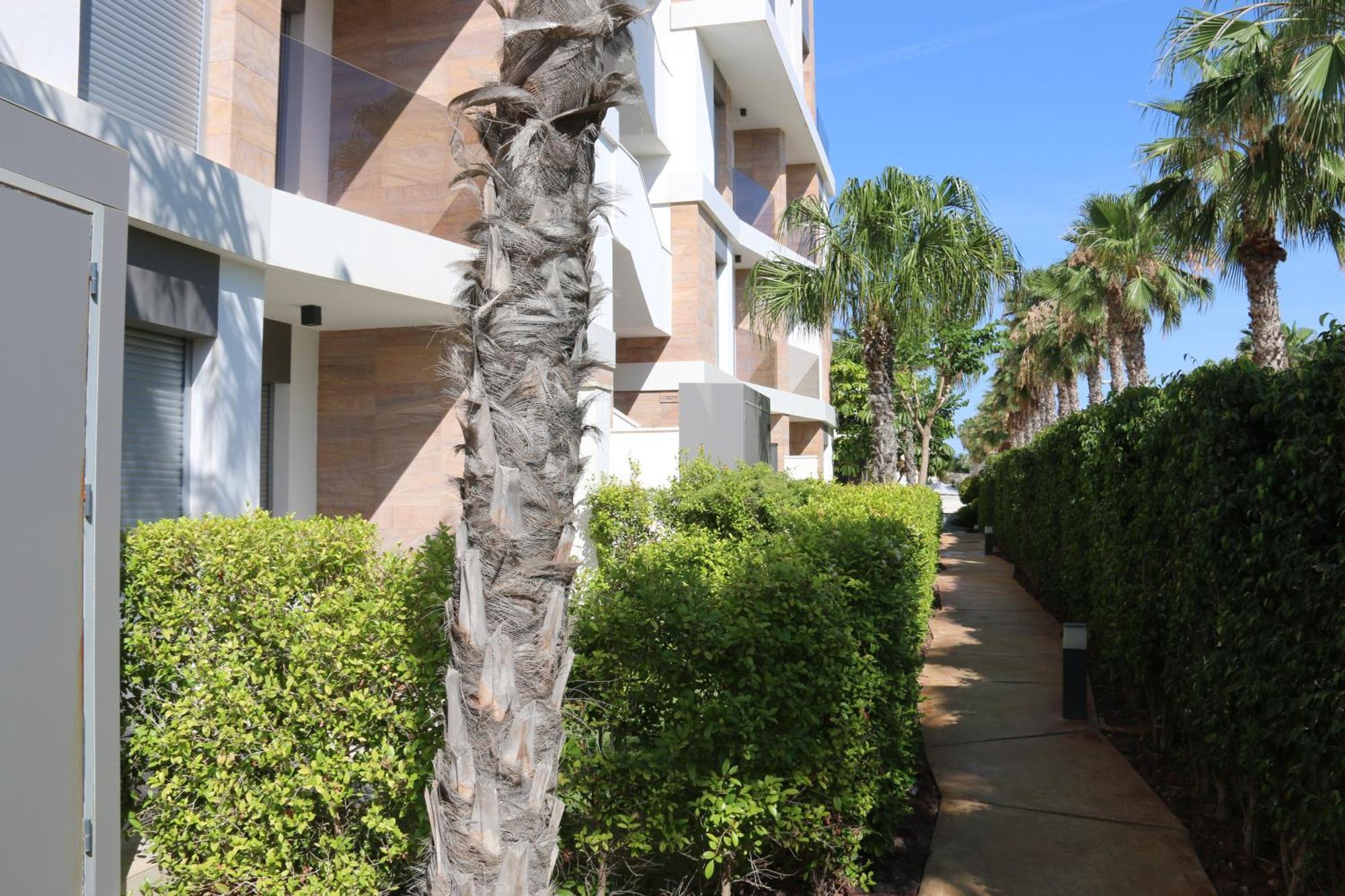 Luxusni Apartman Ve Spanelsku, Cabo Roig Orihuela Kültér fotó